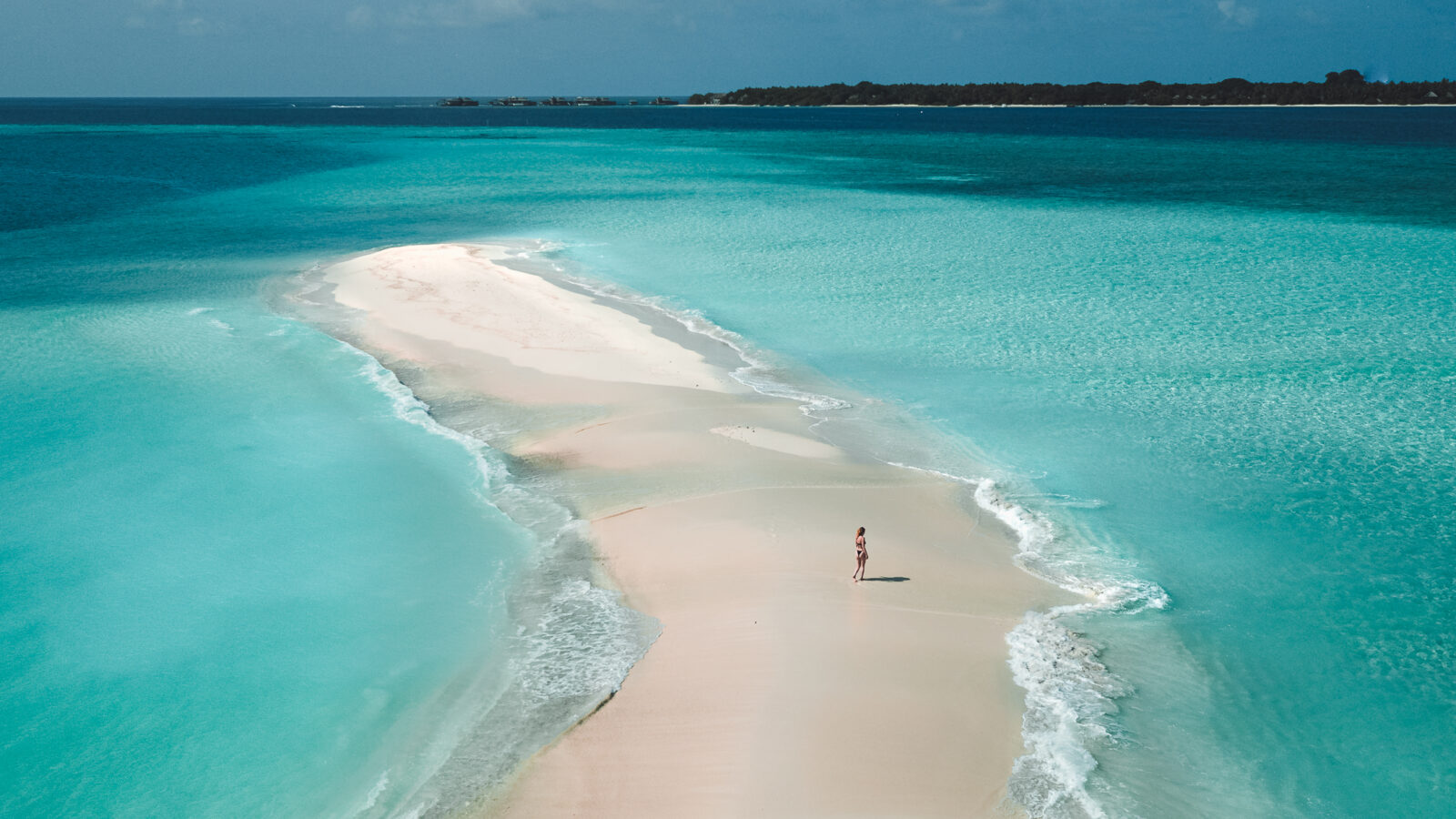 LUSCAPE — Get in Touch